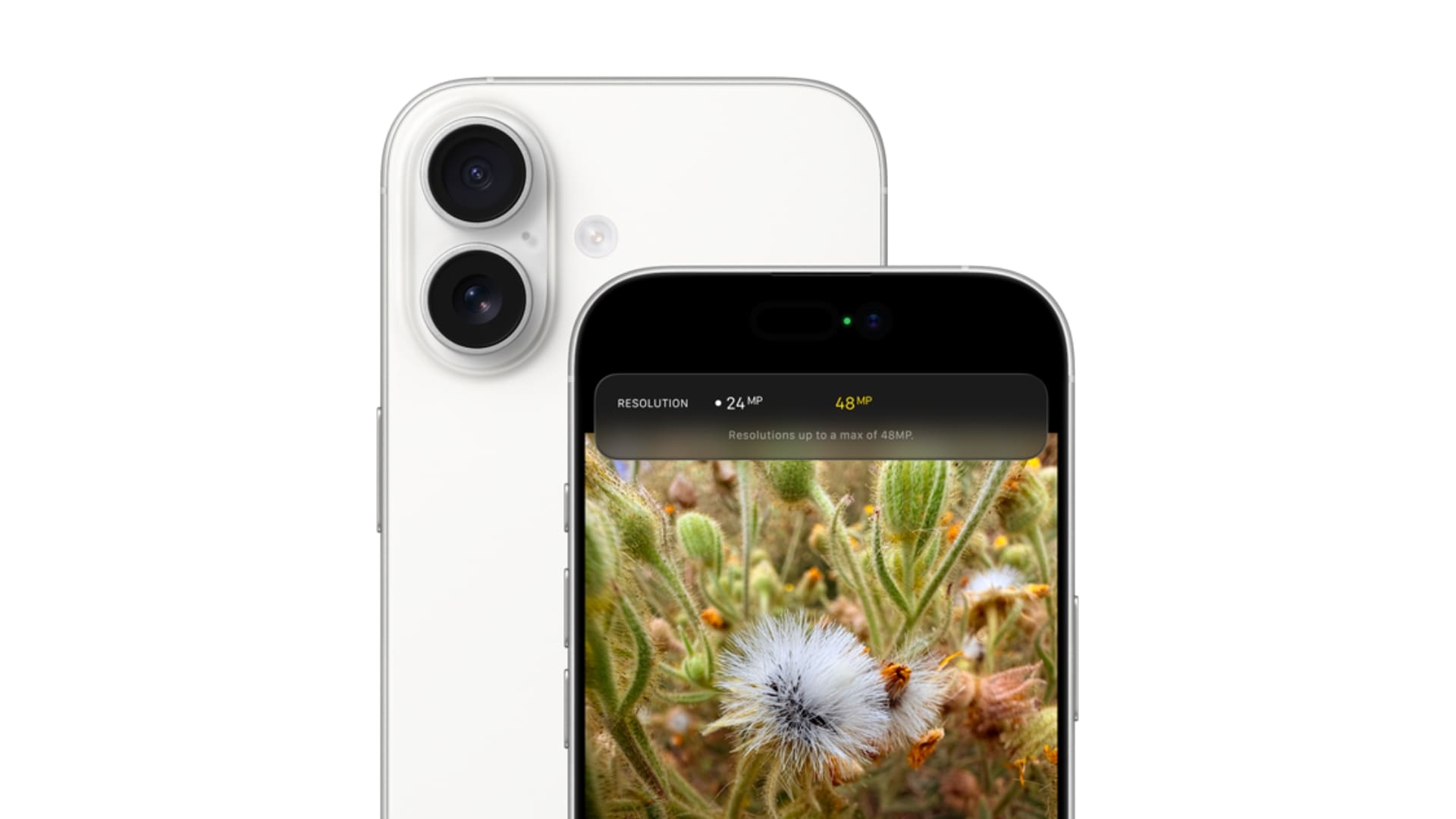 Система камер Dual Fusion на 48 Мп. Потрясающая детализация — от макроснимков до дальних планов.