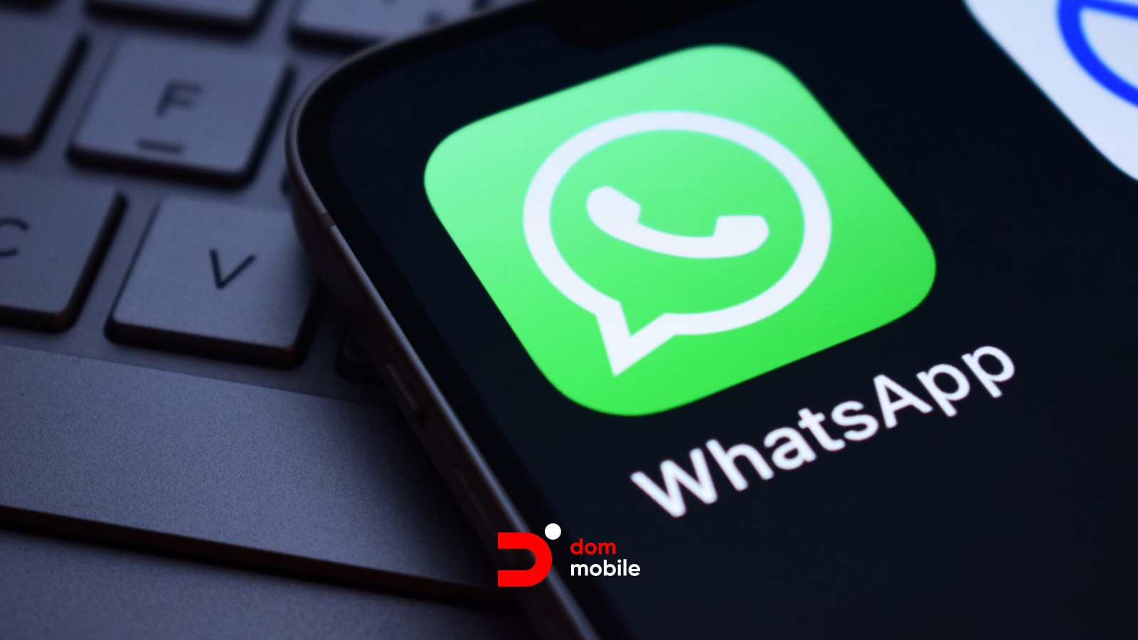 WhatsApp тестирует платную подписку WhatsApp Plus — что это, зачем и как использовать с умом