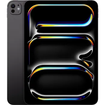 Apple iPad Pro 13 M4 Серый космос — купить в Санкт-Петербурге | DomMobile.ru